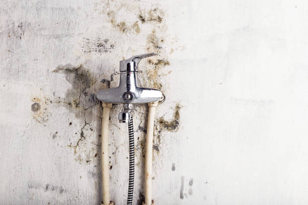 Office Mold Removal Services in Bradford, PA