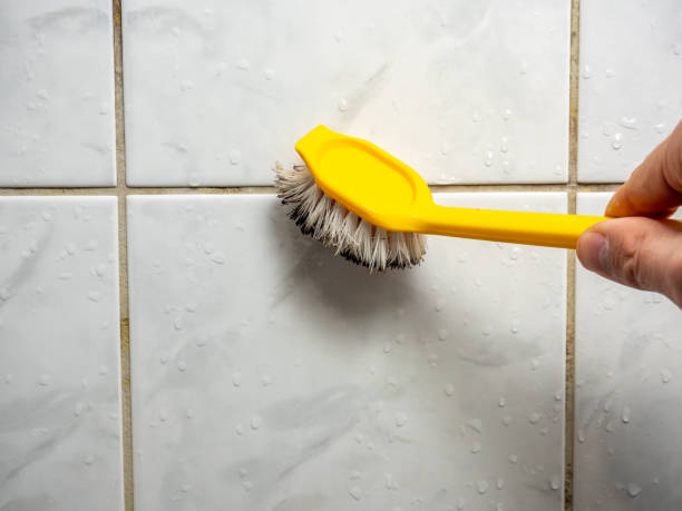 Best Emergency Mold Removal  in Bradford, PA
