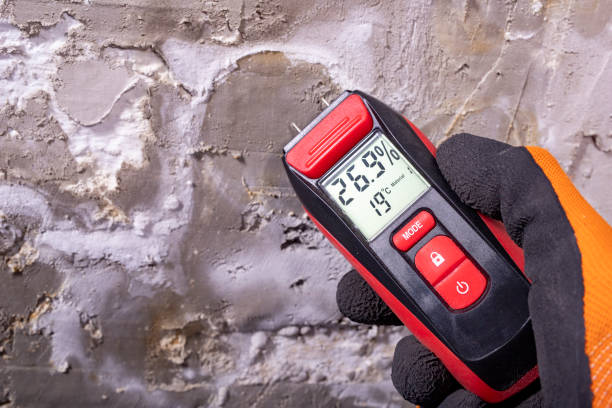 Best Black Mold Removal  in Bradford, PA