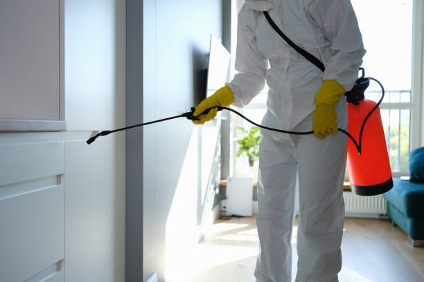 Best Attic Mold Removal  in Bradford, PA