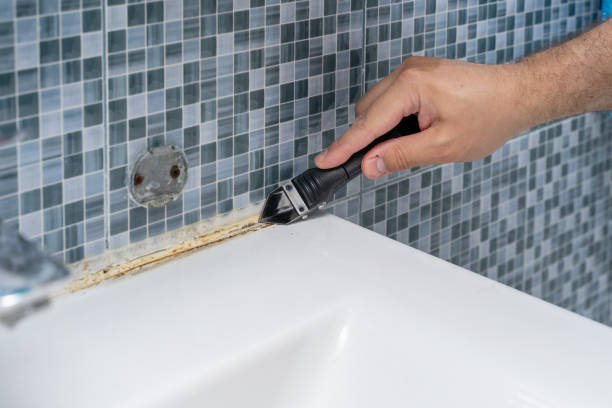 Best Toxic Mold Removal  in Bradford, PA